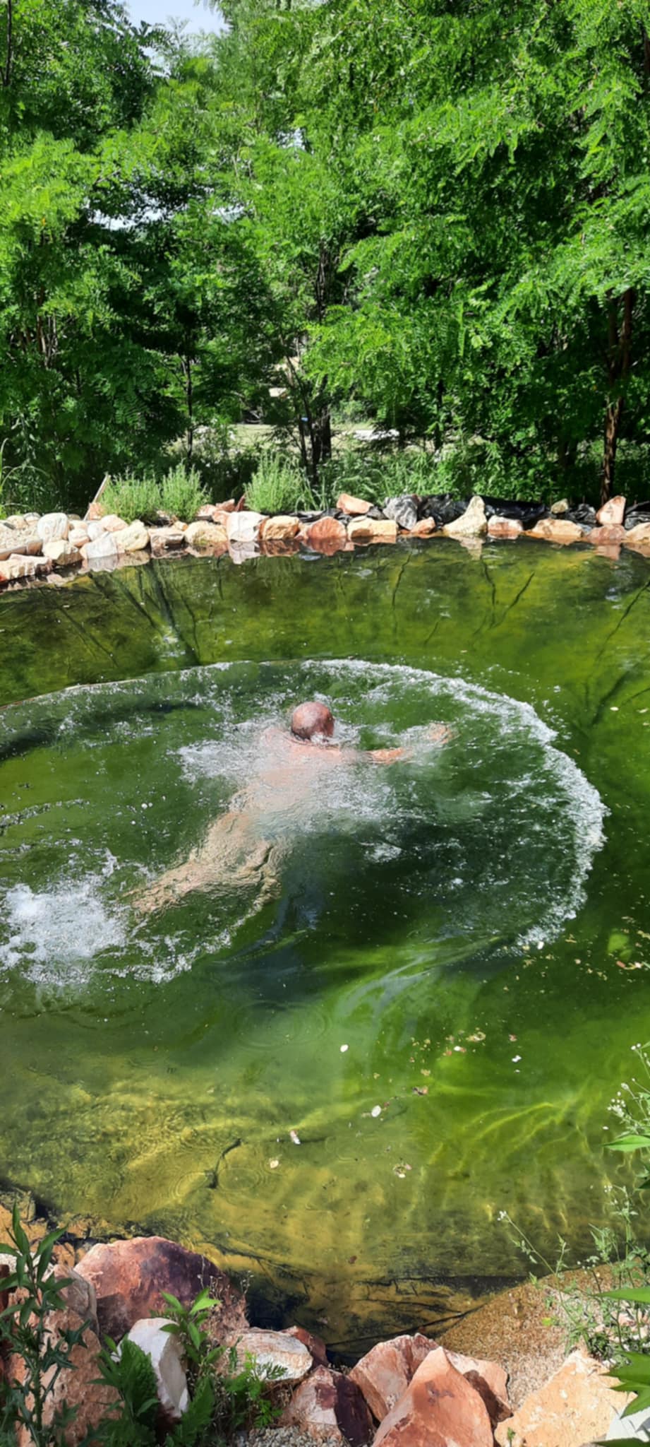 Wild Swimming Wild Swimming